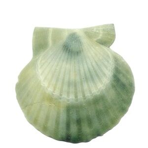 Colorful Gemstone Egg Set Rainbow Chakra Healing